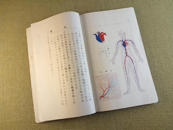 Books of era and meaning - antique Japanese book, school science, Taisho 1925