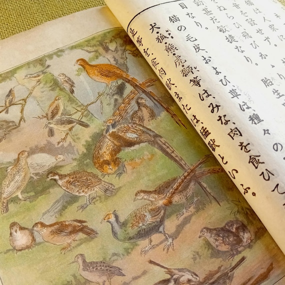 Books of time and meaning - antique Japanese woodblock book, elementary science textbook, Meiji, 1901