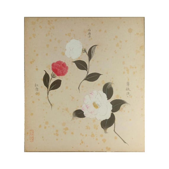 Vintage Japanese Shikishi Painting – Three Camellias – Mid Shōwa Period