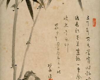 Vintage Shōwa Japanese ink shikishi – Bamboo and stone