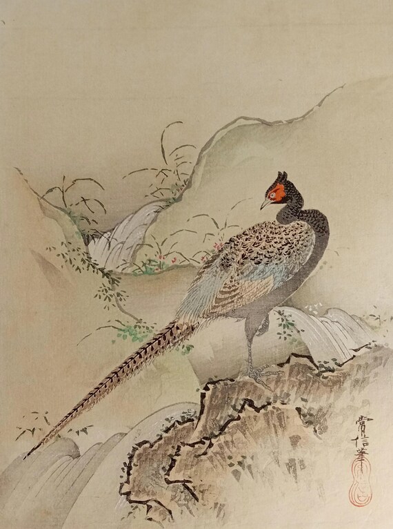 Antique Japanese Woodblock Print – Pheasant & Waterfall by Kano Tsunenobu | Kachō-ga, Meiji-Taisho Era