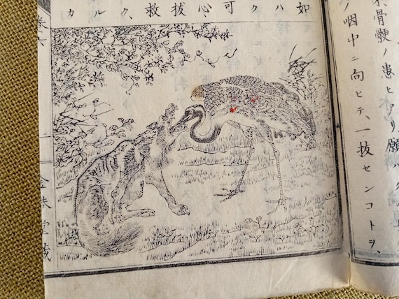 Japanese antique illustrated woodblock book, moral education reader, Meiji period, 1882, vol. VI