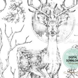 The Winter Deer Colouring Page for Adults and Kids Printable, Colouring ...