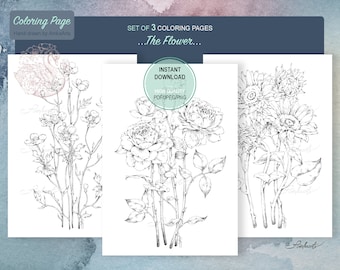 Floral Coloring Pages Set: Hand-Drawn Line Art (PDF, JPG, PNG)