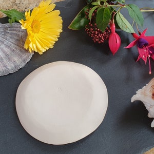 Small round dish with a cheery red or blue glaze and embossed fish design image 2