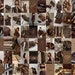 100 PCS | Brown Aesthetic Wall Collage | Coffee Aesthetic Wall Collage Kit | Wall Decor Prints | Boujee Brown Neon Collages 