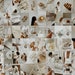 63 PCS | Minimalist Aesthetic Wall Collage |  white Aesthetic Wall Collage Kit | Wall Decor Prints | Boujee Cream Collages 