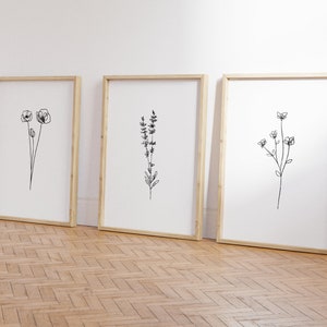 May include: Three framed black and white line drawings of different flowers. The drawings are on white paper and are framed in natural wood frames.