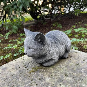 Puede incluir: Una estatua de gato de hormig&oacute;n gris con los ojos cerrados, enroscada en posici&oacute;n de dormir. La estatua est&aacute; sentada sobre una superficie de piedra gris.