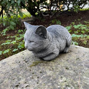 Puede incluir: Una escultura de gato de hormig&oacute;n gris con los ojos cerrados, enroscada en una posici&oacute;n de sue&ntilde;o. La escultura descansa sobre una superficie de piedra gris.