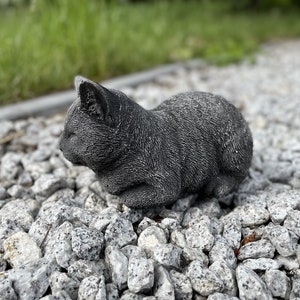 Puede incluir: Una escultura de gato de hormig&oacute;n gris en una pose de dormir. La escultura est&aacute; sentada en un lecho de peque&ntilde;as piedras grises.