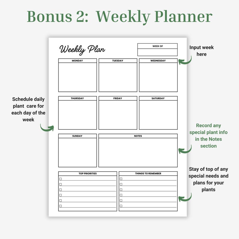 Plant Profile, Watering Schedule, Plant Care Journal, Houseplant Care Instructions Bundle, Gardening Printable, Plant Tracker, Plant Log image 5
