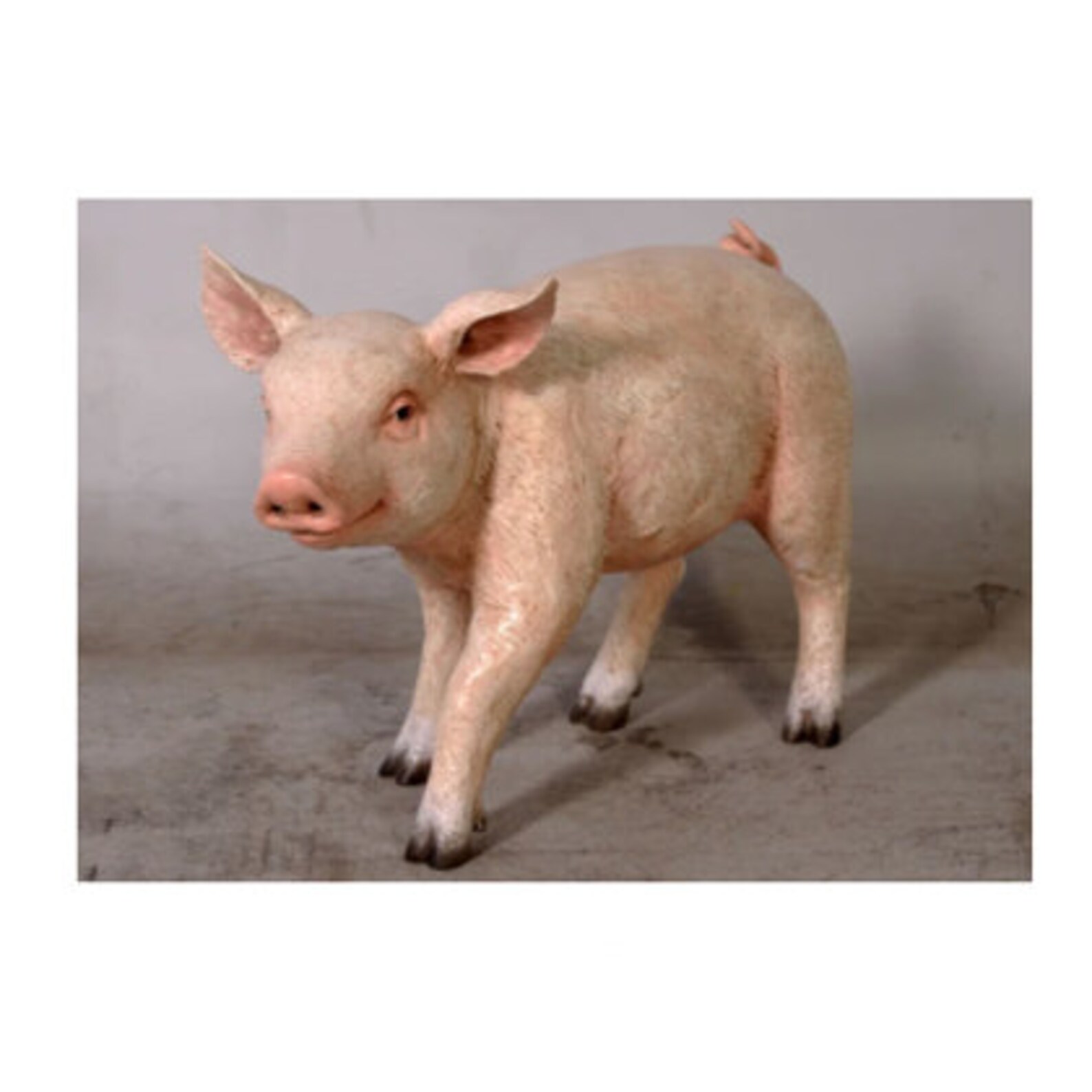 Small Life Size Pig Statue Baby Pig Statues Animal Statues Etsy