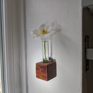 Mini cube vase / reclaimed wood test tube vase / wall vase / propagation station 4 (red lines)