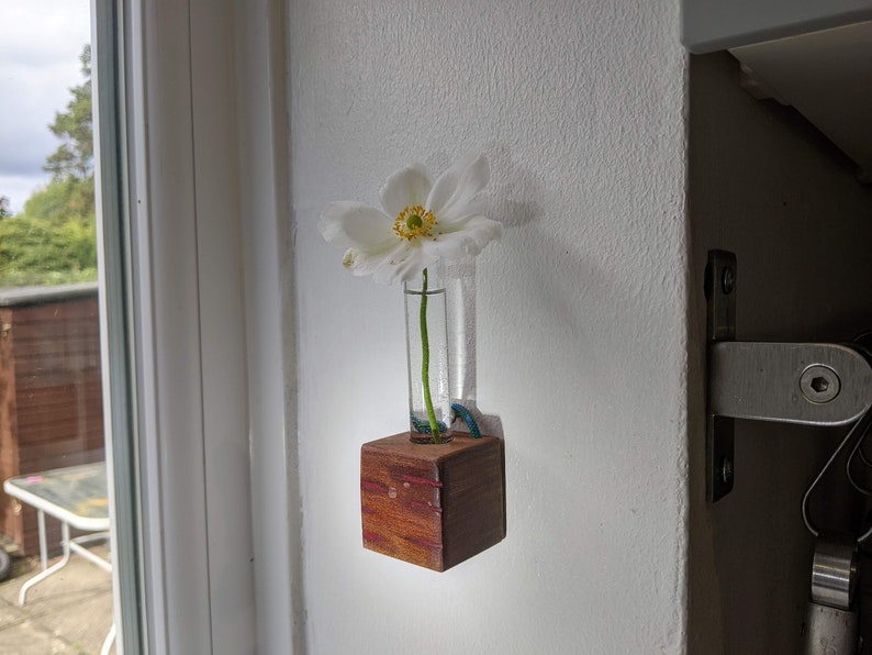 Mini cube vase / reclaimed wood test tube vase / wall vase / propagation station 4 (red lines)