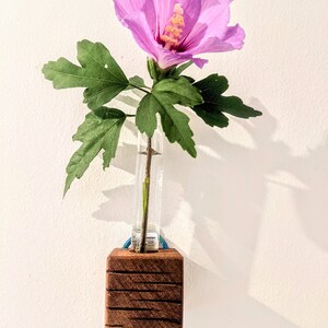 Mini cube vase / reclaimed wood test tube vase / wall vase / propagation station 5 (dark lines)