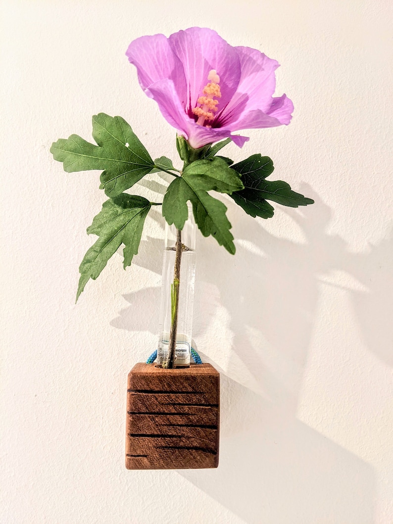 Mini cube vase / reclaimed wood test tube vase / wall vase / propagation station 5 (dark lines)