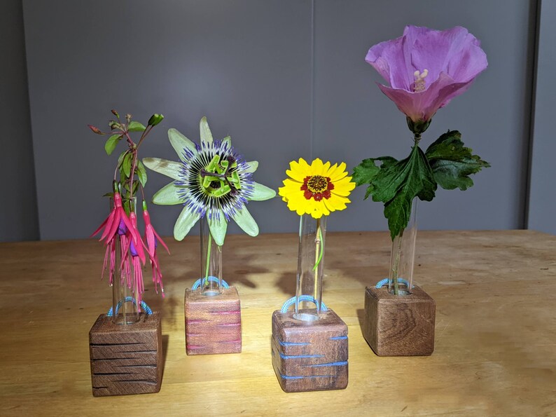 Mini cube vase / reclaimed wood test tube vase / wall vase / propagation station image 1