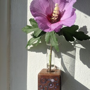 Mini cube vase / reclaimed wood test tube vase / wall vase / propagation station 7 (small circles)
