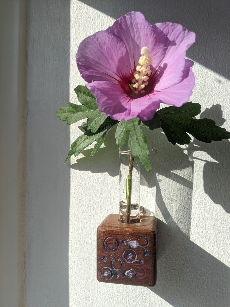 Mini cube vase / reclaimed wood test tube vase / wall vase / propagation station 7 (small circles)