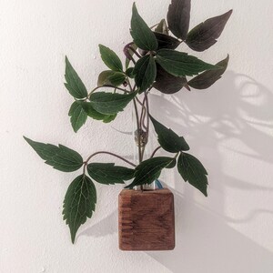 Mini cube vase / reclaimed wood test tube vase / wall vase / propagation station 1 (plain)