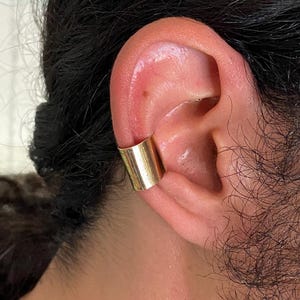 Dragon Ball Super Gold Hakkai Earrings