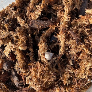 Grow Happy Potting Mix