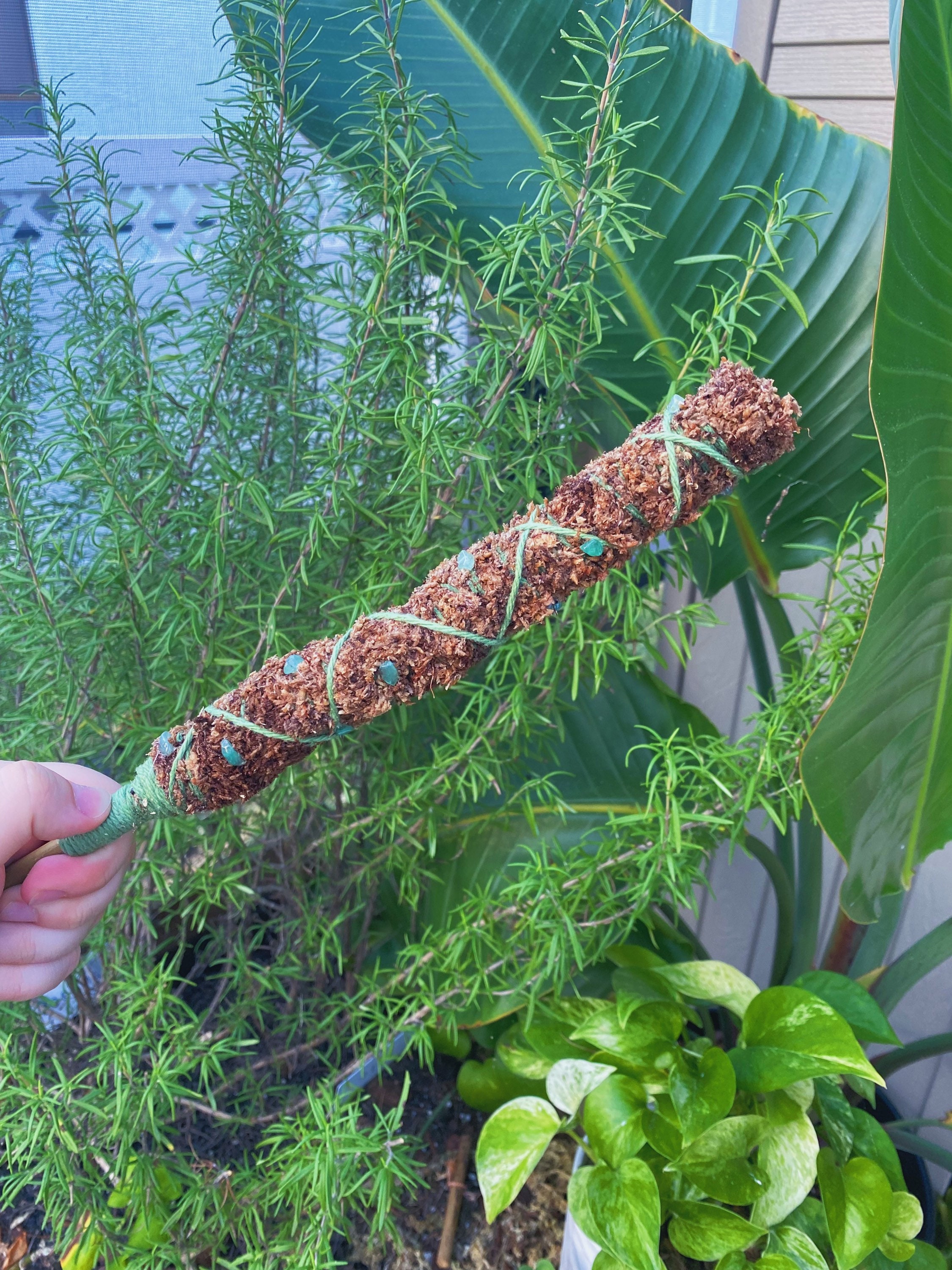 Crystal Moss Pole Etsy