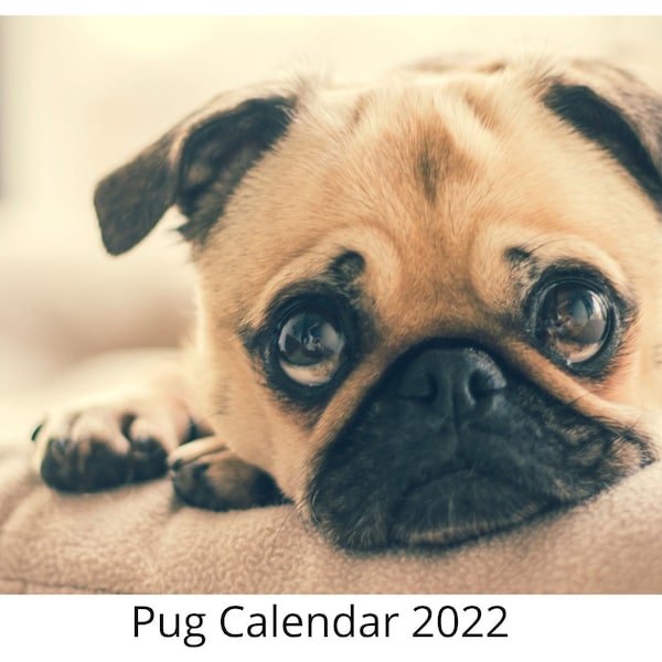 Pug Calendar Etsy