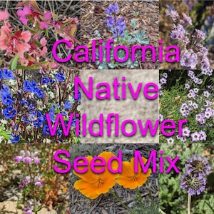 Wildflower seed mix for native pollinators, 1/2 tsp. California shipping only