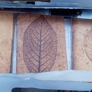 Roger Capron, Hand Made, Special Order Garrigue Tiles, Please read description