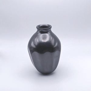 Mata Ortiz Pottery: Micaceous Glaze Ribbed Pot by Aurelia Lopez