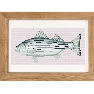 Pode incluir: Uma obra de arte de ponto cruz enquadrada que representa um peixe robalo listrado sobre um fundo rosa claro.