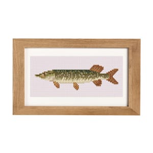 May include: A framed cross-stitch embroidery of a green and brown pike fish on a light pink background.