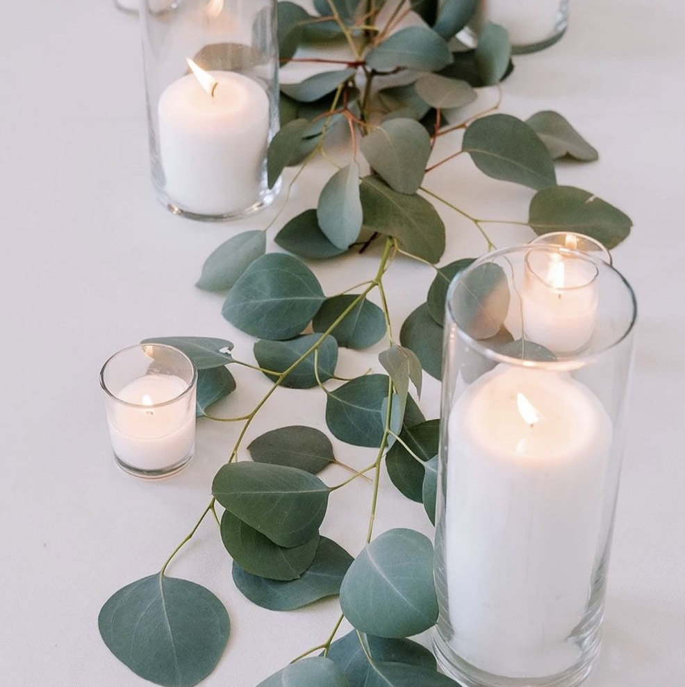 Eucalyptus /silver Dollar Eucalyptus/ Wedding/ Greenery/ Baby Blue