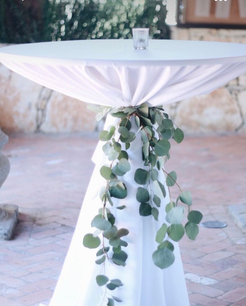 Eucalyptus /silver Dollar Eucalyptus/ Wedding/ Greenery/ Baby Blue