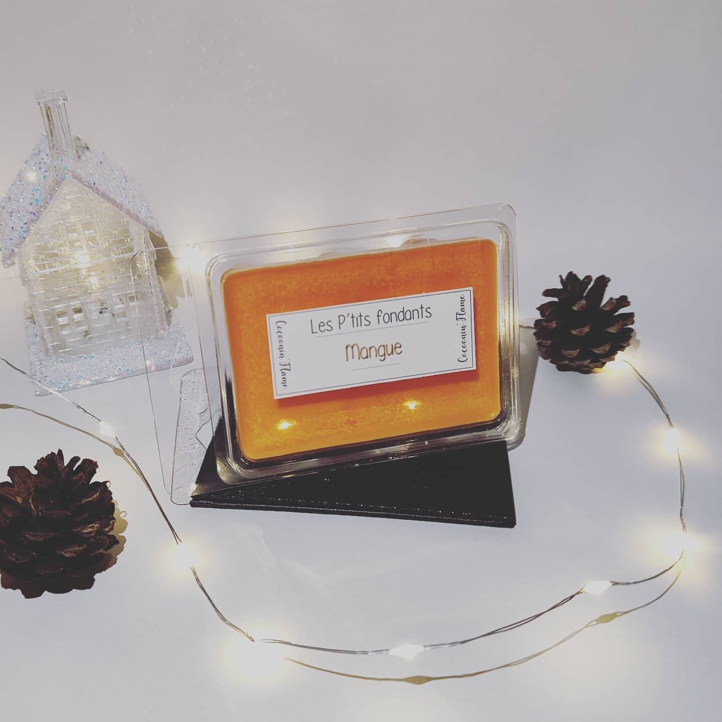 Tablette Fondants Parfumés