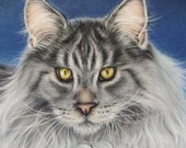 Hand drawn pet portrait - pastel