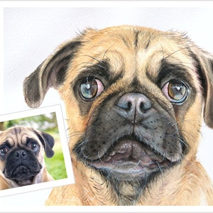 Custom pet portrait watercolor image 4