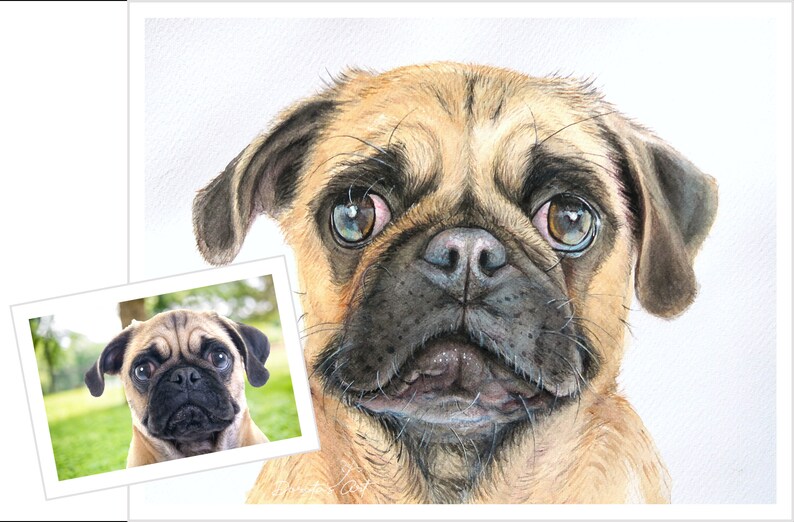 Custom pet portrait watercolor image 4