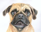 Custom dog portrait from photo