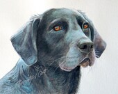 Personalized dog portrait from photo