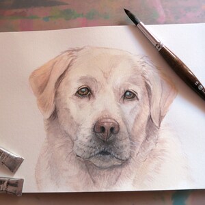 Custom pet portrait watercolor image 5