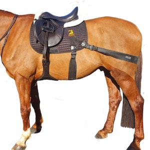 Equine Band System