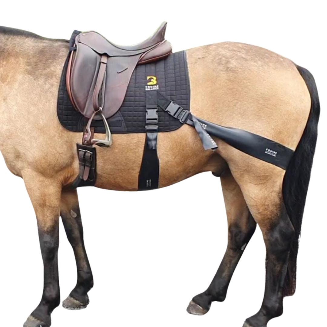 Bretelle Bucheron 3 en 1 pinces boutons scratch À 10,99€ HT