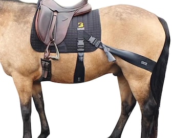 Equine Band System Dressage