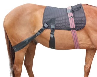 Système d'anneaux pour chevaux de taille poney