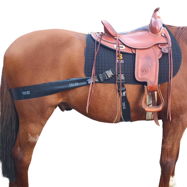 Equine Balance Bands System: Pro Grade Training Aid for Western Saddles