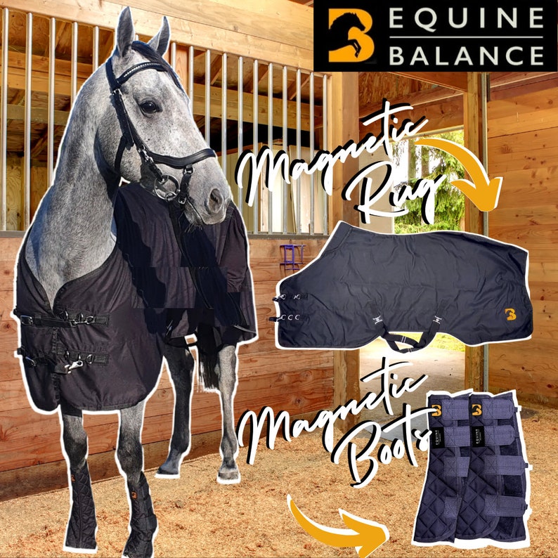 Boots for Horses Therapy Boot by Equine Balance Etsy