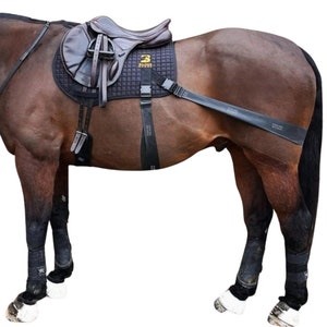 Equine Band System Sport Model Equine Core Conditioning Saddle Pad Elastic